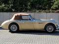 Austin-Healey 3000 Wunderschöner AH 3000 MK III NEUWERTIG !!!!!! Beige - thumbnail 23