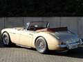 Austin-Healey 3000 Wunderschöner AH 3000 MK III NEUWERTIG !!!!!! Beige - thumbnail 9