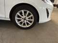 Ford Fiesta Fiesta VII 2017 5p 5p 1.5 tdci TITANIUM 85cv Bianco - thumbnail 20