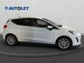 Ford Fiesta Fiesta VII 2017 5p 5p 1.5 tdci TITANIUM 85cv Bianco - thumbnail 4