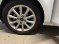 Ford Fiesta Fiesta VII 2017 5p 5p 1.5 tdci TITANIUM 85cv Bianco - thumbnail 19