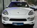 Porsche Cayenne Diesel Weiß - thumbnail 3