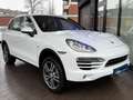 Porsche Cayenne Diesel Weiß - thumbnail 1