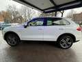 Porsche Cayenne Diesel Weiß - thumbnail 4
