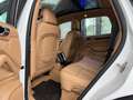 Porsche Cayenne Diesel Weiß - thumbnail 14