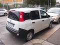 Fiat Panda 1.2 GPL VAN POCHI KM Bianco - thumbnail 6