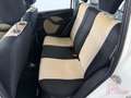 Fiat Panda 1.3 MJT S&S 4x4 Weiß - thumbnail 6