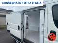 Fiat Ducato (PEUGEOUTBOXER)2.2 FRIGO 0°GRADI NO ATP STRADA RE Blanco - thumbnail 17