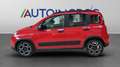 Fiat Panda 1.0 firefly hybrid City Life s&s USATO GARANTITO Rouge - thumbnail 2