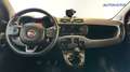 Fiat Panda 1.0 firefly hybrid City Life s&s USATO GARANTITO Rouge - thumbnail 14