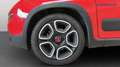 Fiat Panda 1.0 firefly hybrid City Life s&s USATO GARANTITO Rouge - thumbnail 9