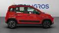 Fiat Panda 1.0 firefly hybrid City Life s&s USATO GARANTITO Rouge - thumbnail 6
