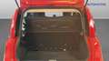 Fiat Panda 1.0 firefly hybrid City Life s&s USATO GARANTITO Rouge - thumbnail 10