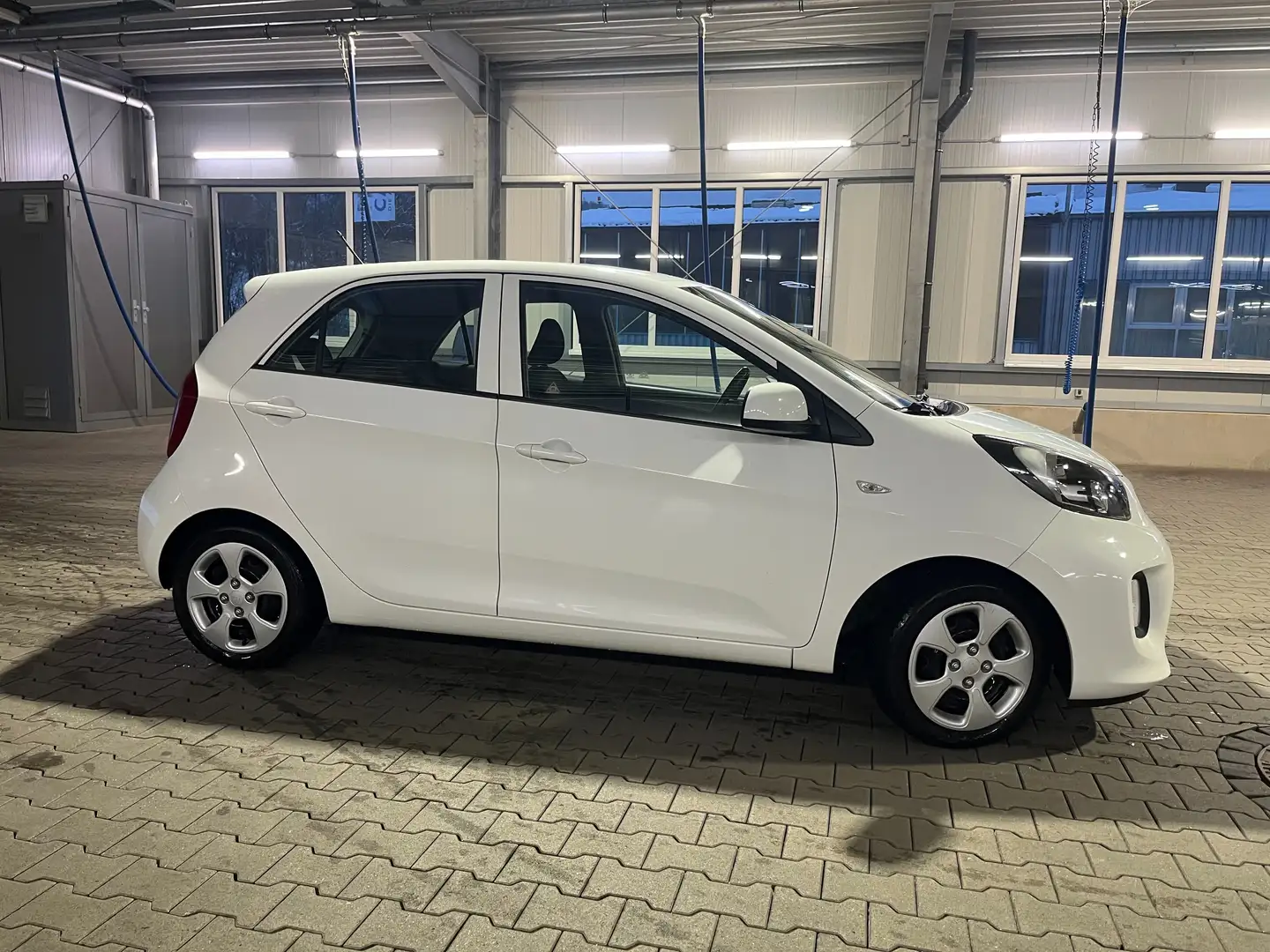 Kia Picanto Sensation KLIMA TÜV NEU Weiß - 2