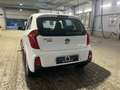 Kia Picanto Sensation KLIMA TÜV NEU Weiß - thumbnail 3