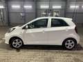 Kia Picanto Sensation KLIMA TÜV NEU Weiß - thumbnail 4