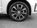 Volvo XC60 Ultimate Dark 2WD B4 Diesel EU6d HUD AD digitales Weiß - thumbnail 3