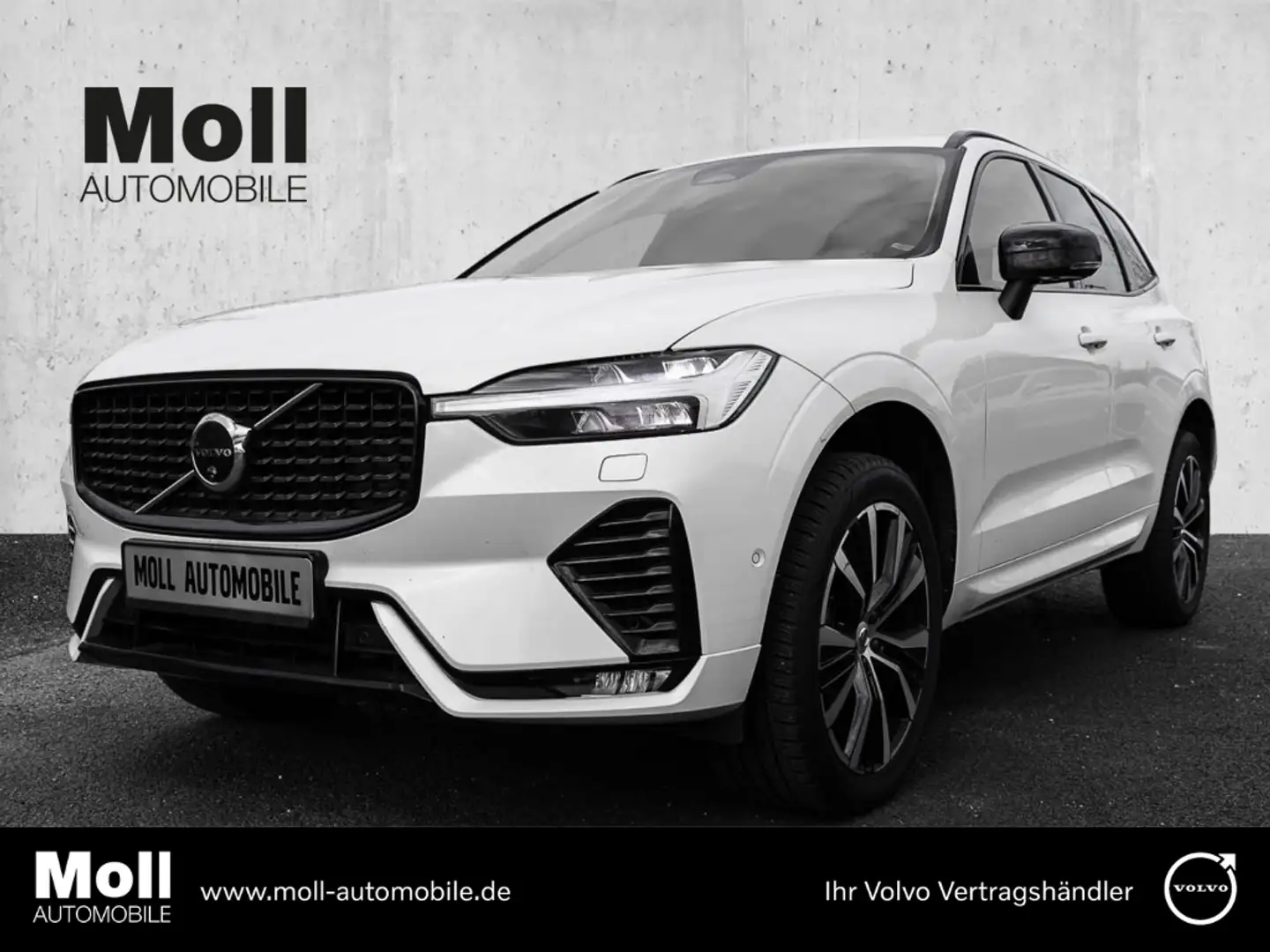 Volvo XC60 Ultimate Dark 2WD B4 Diesel EU6d HUD AD digitales Weiß - 1