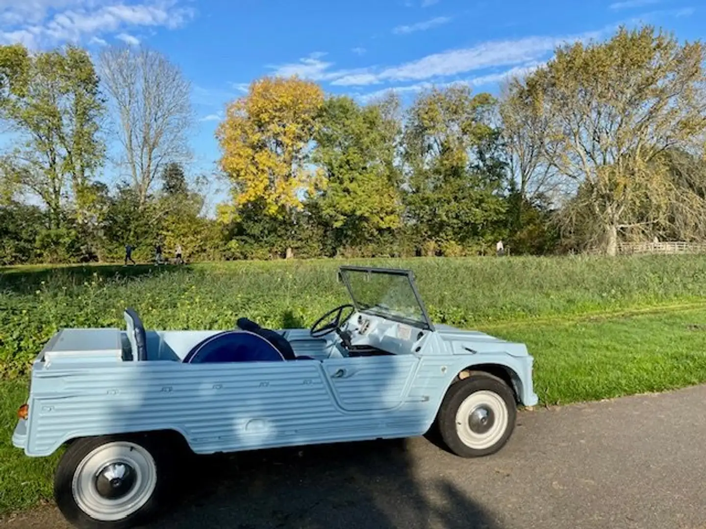 Citroen Méhari Cabrio Bleu - 1