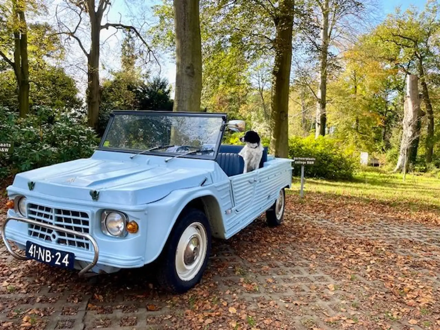 Citroen Méhari Cabrio Bleu - 2