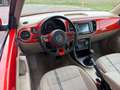 Volkswagen Beetle 1.2 TSI Sport / 18" / Pano / LED Orange - thumbnail 11