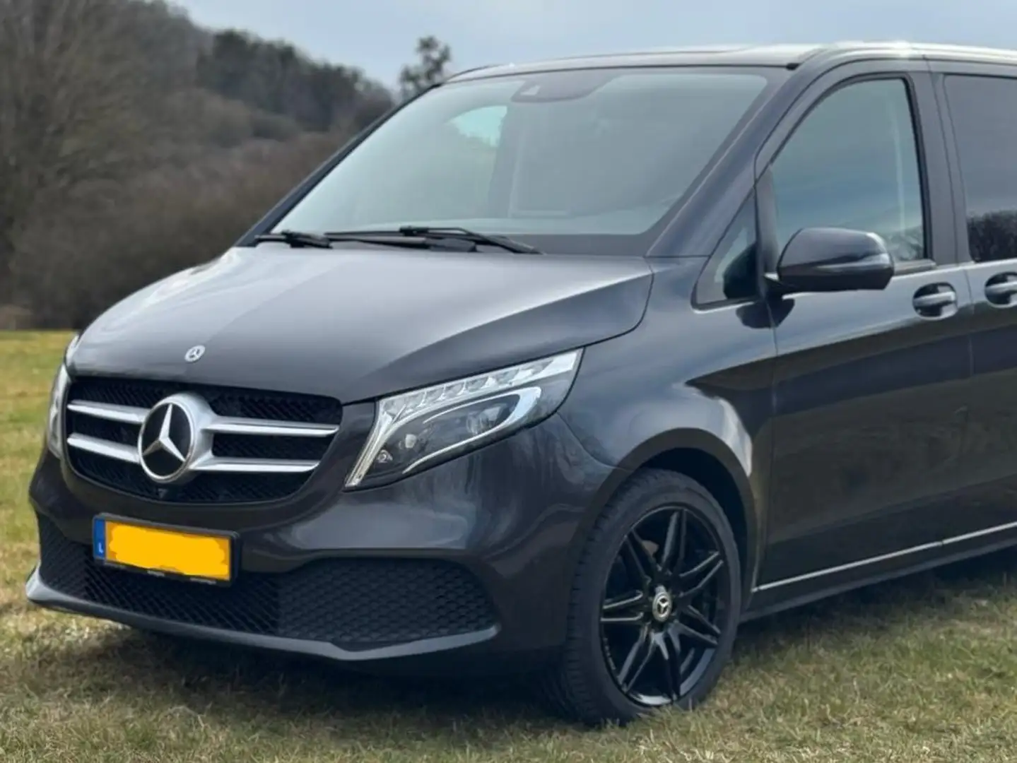Mercedes-Benz V 300 Gris - 1