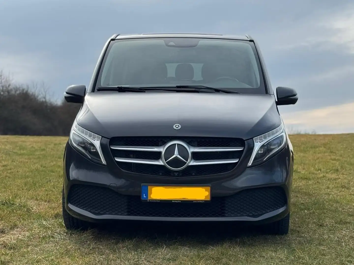 Mercedes-Benz V 300 Gris - 2