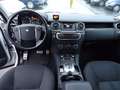 Land Rover Discovery 3.0 TdV6 E bijela - thumbnail 9