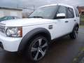 Land Rover Discovery 3.0 TdV6 E bijela - thumbnail 3