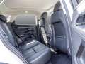 Land Rover Range Rover Evoque Evoque P300e AWD S NAVI PANO PDC LM Weiß - thumbnail 4