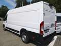 Fiat Ducato Ducato Maxi 35 | Serie 2 | L4H2 180 MT | Sofort Білий - thumbnail 3