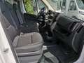 Fiat Ducato Ducato Maxi 35 | Serie 2 | L4H2 180 MT | Sofort Білий - thumbnail 9