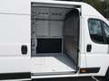 Fiat Ducato Ducato Maxi 35 | Serie 2 | L4H2 180 MT | Sofort Білий - thumbnail 8