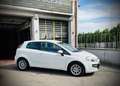 Fiat Grande Punto Grande Punto 1.3 Multijet Freestyle Bianco - thumbnail 4