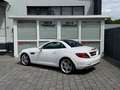 Mercedes-Benz SLC 200 Roadster/2.HAND/NAVI/VOLLEDER/KAMERA/TOP Weiß - thumbnail 12