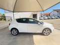 SEAT Ibiza 1.4 5 porte PRONTA CONSEGNA OK NEOPATENTATI Bianco - thumbnail 8