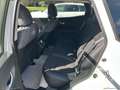 Renault Kadjar Blue dCi 8V 115 CV Sport Edition2 Blanc - thumbnail 16