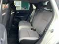 Honda Jazz Jazz 1.5 Hev Crosstar eCVT Executive Bianco - thumbnail 11