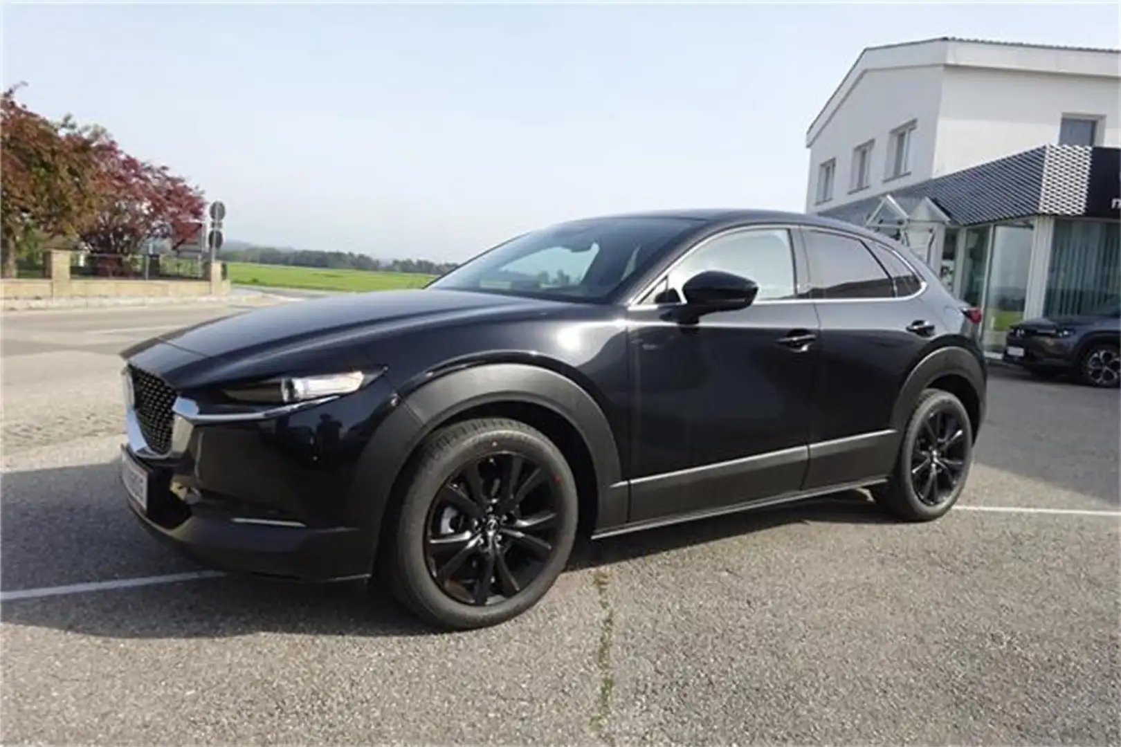 Mazda CX-30 e-Skyactive G122 Homura Nero - 1