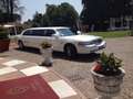 Lincoln Town Car limousine allestimento royale Bianco - thumbnail 6