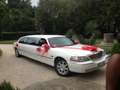 Lincoln Town Car limousine allestimento royale Beyaz - thumbnail 4
