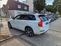 Volvo XC90 R-Design AWD B5*PANO*HuD*360°*AHK*MEMORY*HK Blanco - thumbnail 7