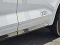 Audi Q5 40TDI quattro EditionOne 3xSline S-tr  *Matrix*B&O Weiß - thumbnail 14