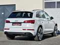 Audi Q5 40TDI quattro EditionOne 3xSline S-tr  *Matrix*B&O Weiß - thumbnail 10