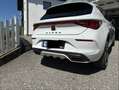 CUPRA Sonstige Cupra Leon Hybrid Weiß - thumbnail 11