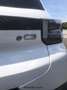 Citroen Nuova C3 Elettrica 83kw (113cv) - MAX Bianco - thumbnail 13