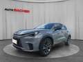 Lexus LBX Elegant 136 PS 2WD Grau - thumbnail 1