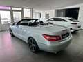 Mercedes-Benz E 200 CGI Cabrio BlueEfficiency*Bi-Xenon*PDC* Silber - thumbnail 4
