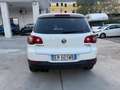 Volkswagen Tiguan Tiguan 2.0 TDI DPF Trend & Fun BlueMotion Tech. Bianco - thumbnail 5