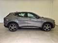 Alfa Romeo Tonale 1.6 diesel 130 CV TCT6 TI N1 Autocarro Grijs - thumbnail 6